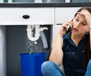 About Emergency plumbing pros Watkins Glen, NY